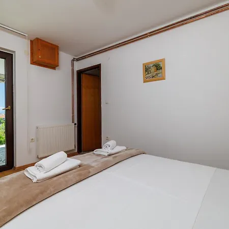 Maksim * 茨里克韦尼察